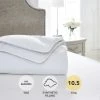 Buy 🧨 Dorma Dorma Full Forever Anti Allergy 10.5 Tog Duvet ⌛