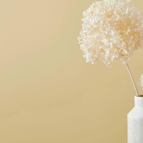 Cheap ๐ Dorma Dorma Buttermilk Matt Emulsion Paint ๐