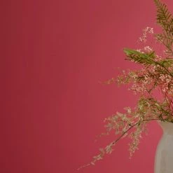 Buy 🧨 Dorma Dorma Slate Rose Eggshell Paint 🔔