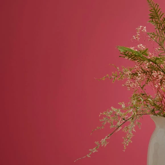 Buy ๐งจ Dorma Dorma Slate Rose Eggshell Paint ๐