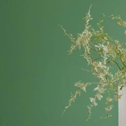 Top 10 ๐คฉ Dorma Dorma Persian Ivy Eggshell Paint ๐ฅ