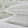 Flash Sale ✨ Dorma Dorma Lydia Oxford Pillowcase Pair 🔔