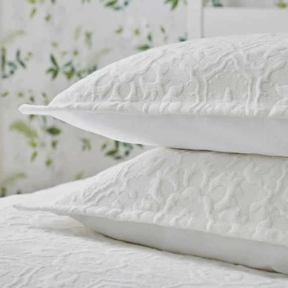 Flash Sale โจ Dorma Dorma Lydia Oxford Pillowcase Pair ๐